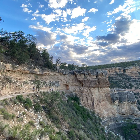 Meet your Posher, Grace - Picture 2 of 11